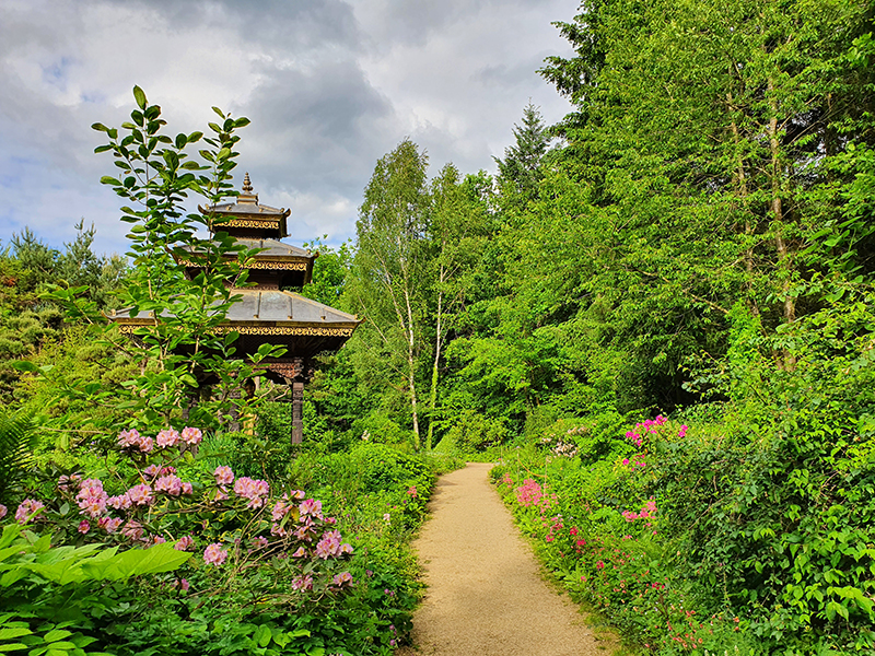 Ludzie zazwyczaj pragną...