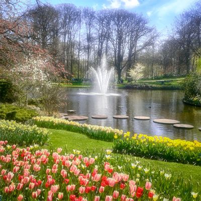 Ogród Keukenhof. Tulipanowy raj