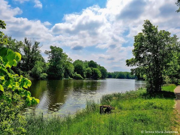 Park Wilanowski
