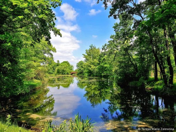 Park Wilanowski 