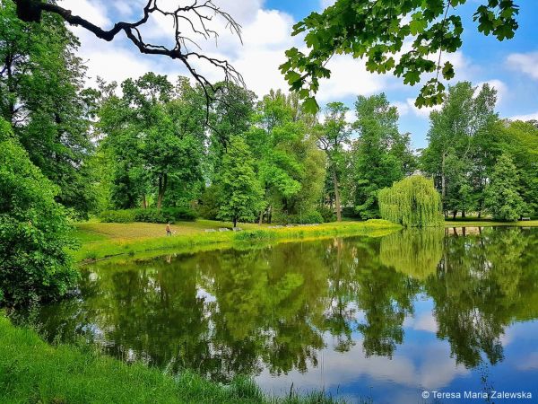 Park Wilanowski