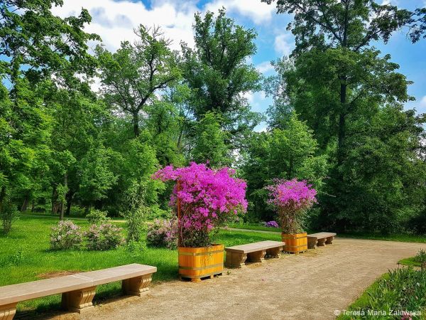 Park Wilanowski 