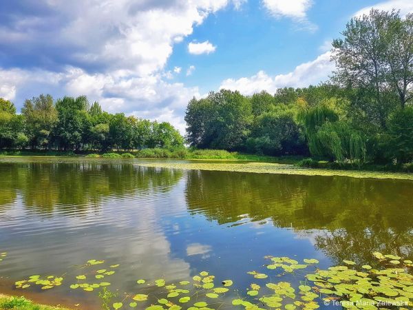 Park Wilanowski