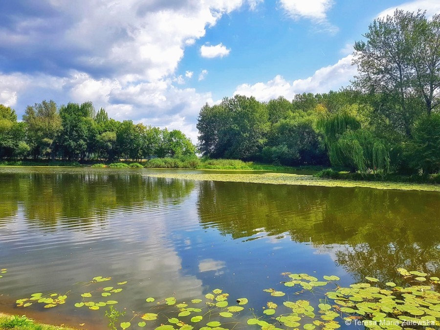 Park Wilanowski