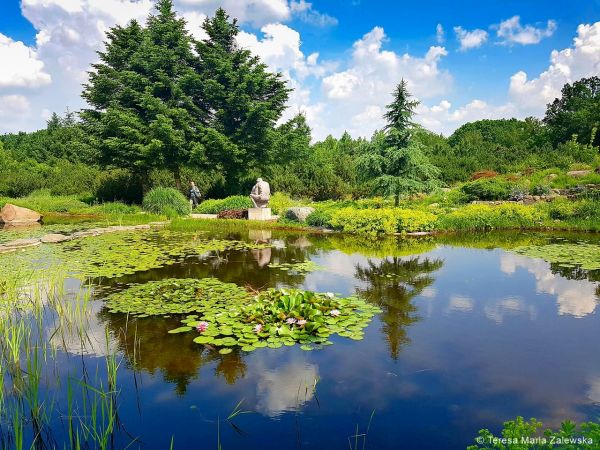 Ogr&oacute;d botaniczny w Powsinie