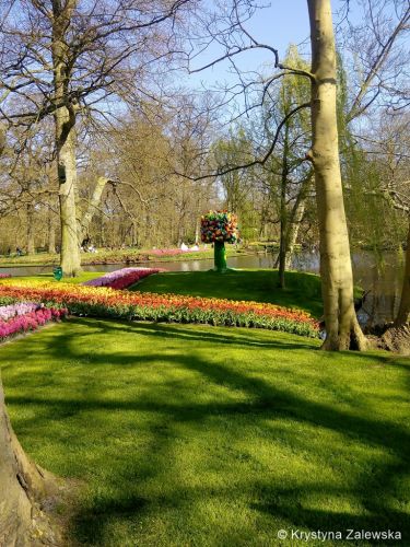 Ogr&oacute;d Keukenhof. W kr&oacute;lestwie tulipan&oacute;w.