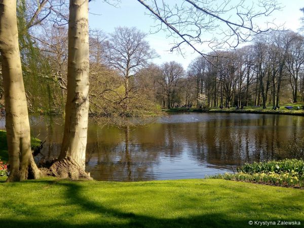 Ogr&oacute;d Keukenhof. W kr&oacute;lestwie tulipan&oacute;w.