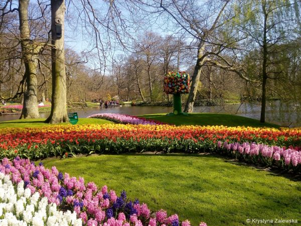 Ogr&oacute;d Keukenhof. W kr&oacute;lestwie tulipan&oacute;w.