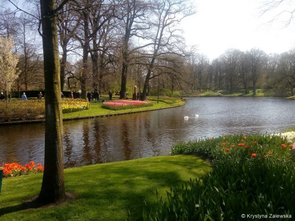 Ogr&oacute;d Keukenhof. W kr&oacute;lestwie tulipan&oacute;w.