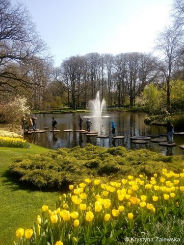 Ogr&oacute;d Keukenhof. W kr&oacute;lestwie tulipan&oacute;w.