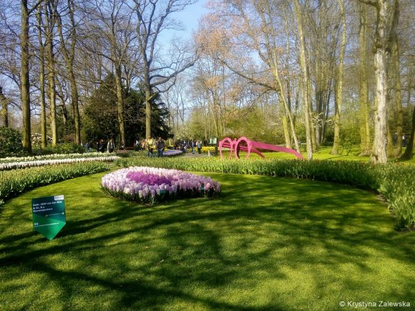 Ogr&oacute;d Keukenhof. W kr&oacute;lestwie tulipan&oacute;w.