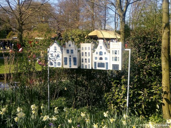 Ogr&oacute;d Keukenhof. W kr&oacute;lestwie tulipan&oacute;w.