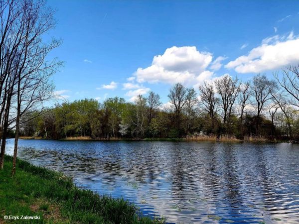 Park Wilanowski
