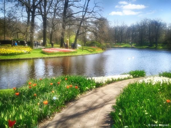 Ogr&oacute;d Keukenhof. Tulipanowy raj.