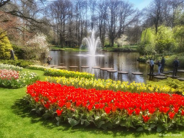 Ogr&oacute;d Keukenhof. Tulipanowy raj.