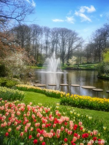 Ogr&oacute;d Keukenhof. Tulipanowy raj.