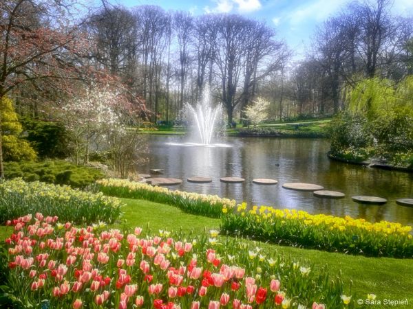 Ogr&oacute;d Keukenhof. Tulipanowy raj.
