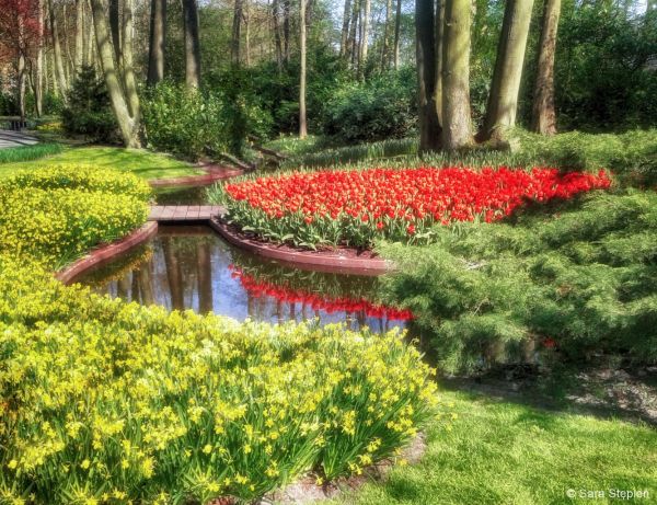 Ogr&oacute;d Keukenhof. Tulipanowy raj.