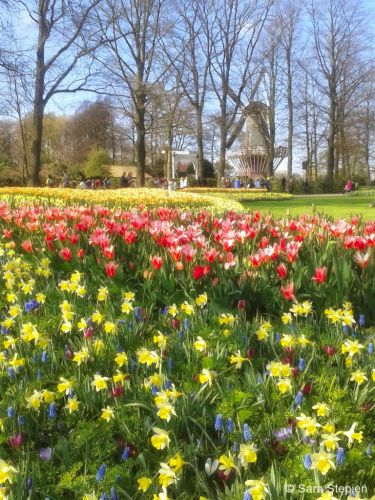Ogr&oacute;d Keukenhof. Tulipanowy raj.
