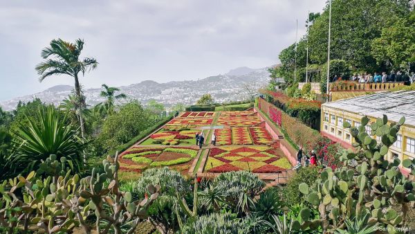 Jardim Bot&acirc;nico da Madeira