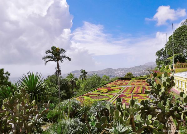 Jardim Bot&acirc;nico da Madeira