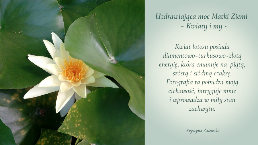 Uzdrawiająca moc Matki Ziemi. Kwiaty i my