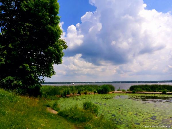 Nad Jeziorem Zegrzyńskim