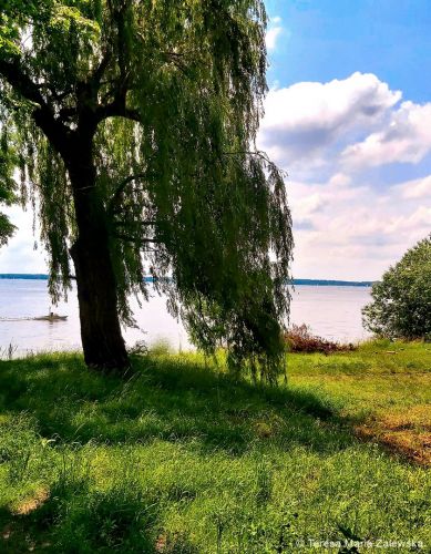 Nad Jeziorem Zegrzyńskim