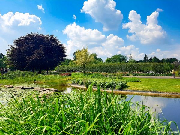 Ogr&oacute;d botaniczny w Powsinie