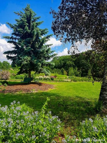 Ogr&oacute;d botaniczny w Powsinie