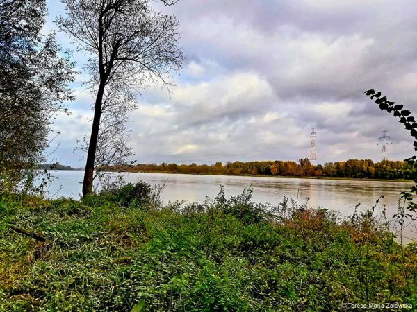 Złota Jesień