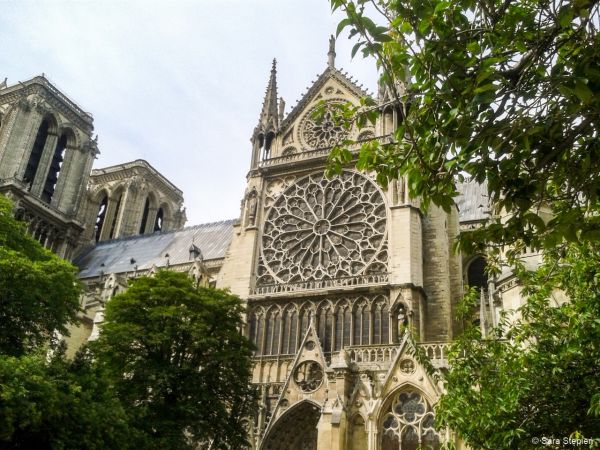 Katedra Notre-Dame