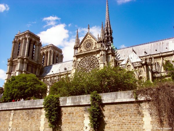 Katedra Notre-Dame