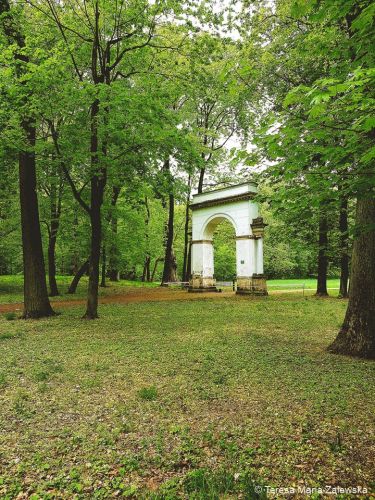 Wiosna w Jabłonnie