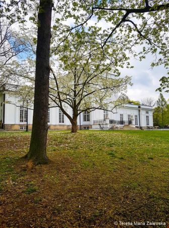 Wiosna w Jabłonnie
