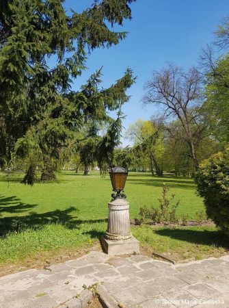 Wiosna w Jabłonnie