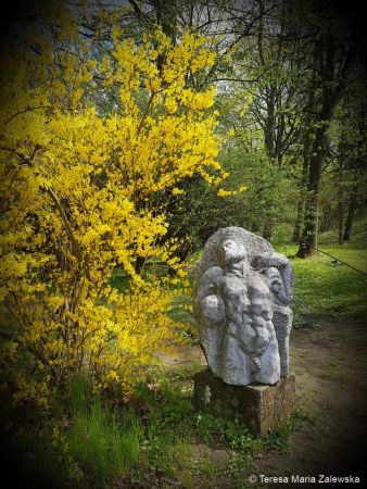 Wiosna w Jabłonnie