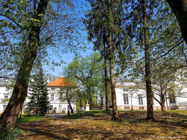 Wiosna w Jabłonnie