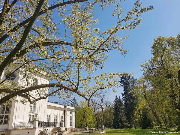 Wiosna w Jabłonnie