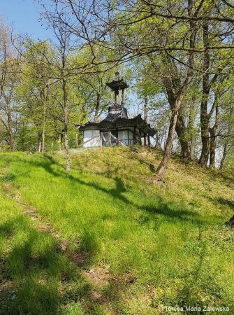 Wiosna w Jabłonnie