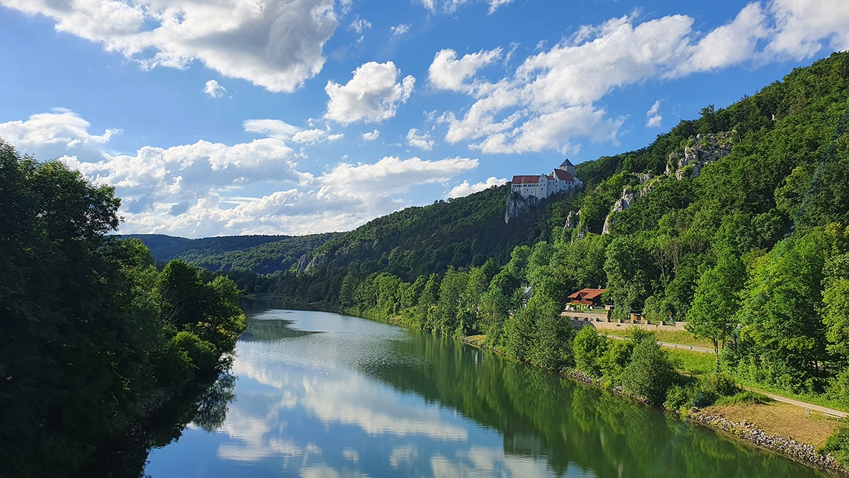 Rozw&oacute;j CCCXIX