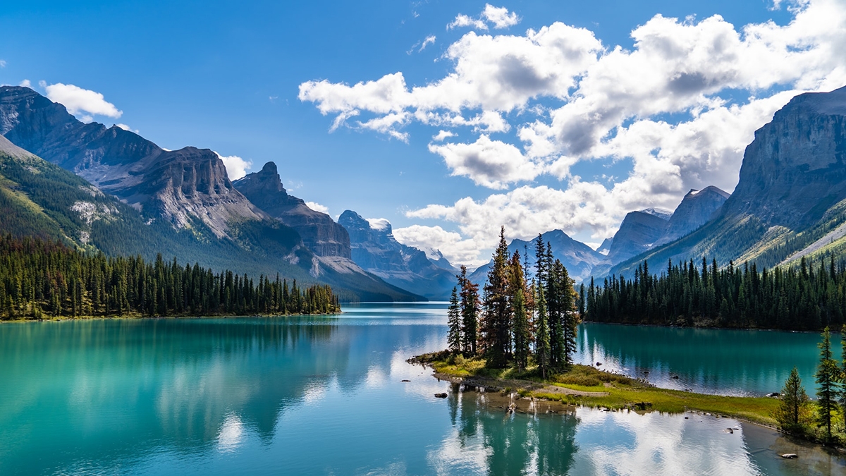 Rozw&oacute;j CMLXXXIII