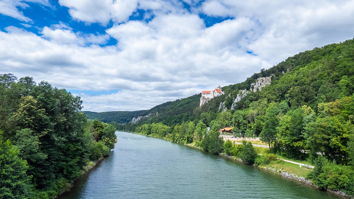 Rozw&oacute;j MCCLXII