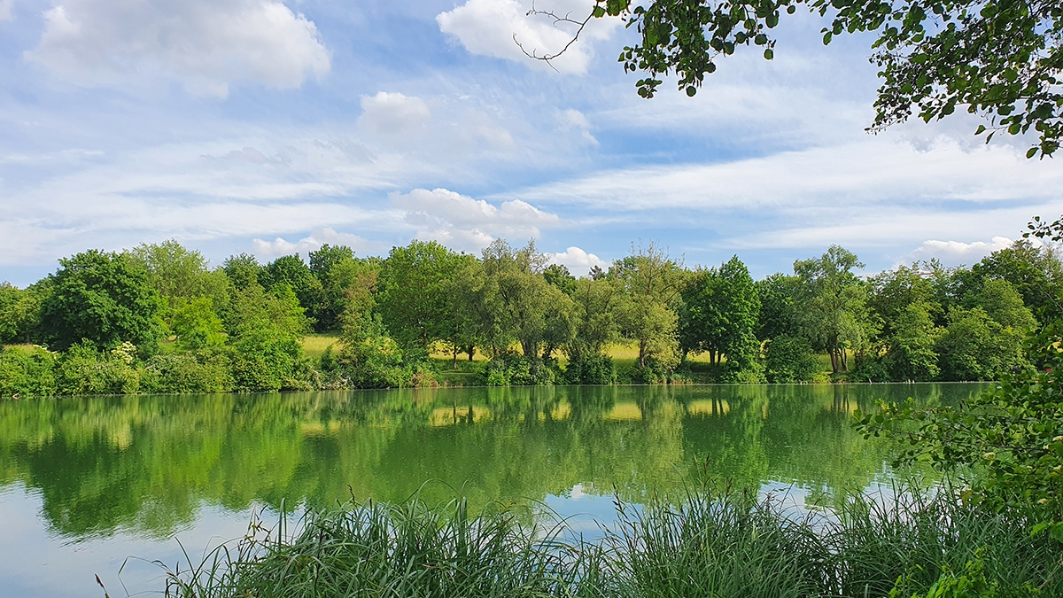 Rozw&oacute;j MCCXLVI