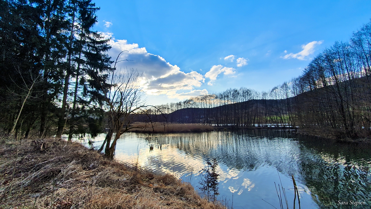 Rozw&oacute;j MLXXXVIII