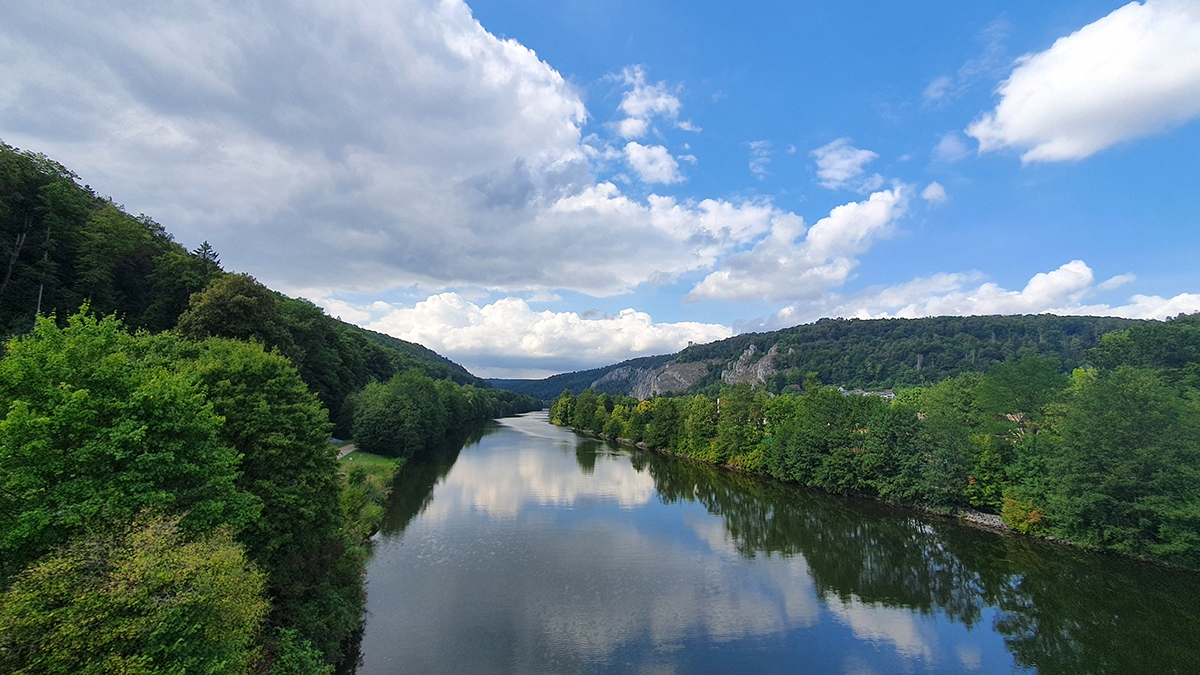 Rozw&oacute;j MCCLXXVIII