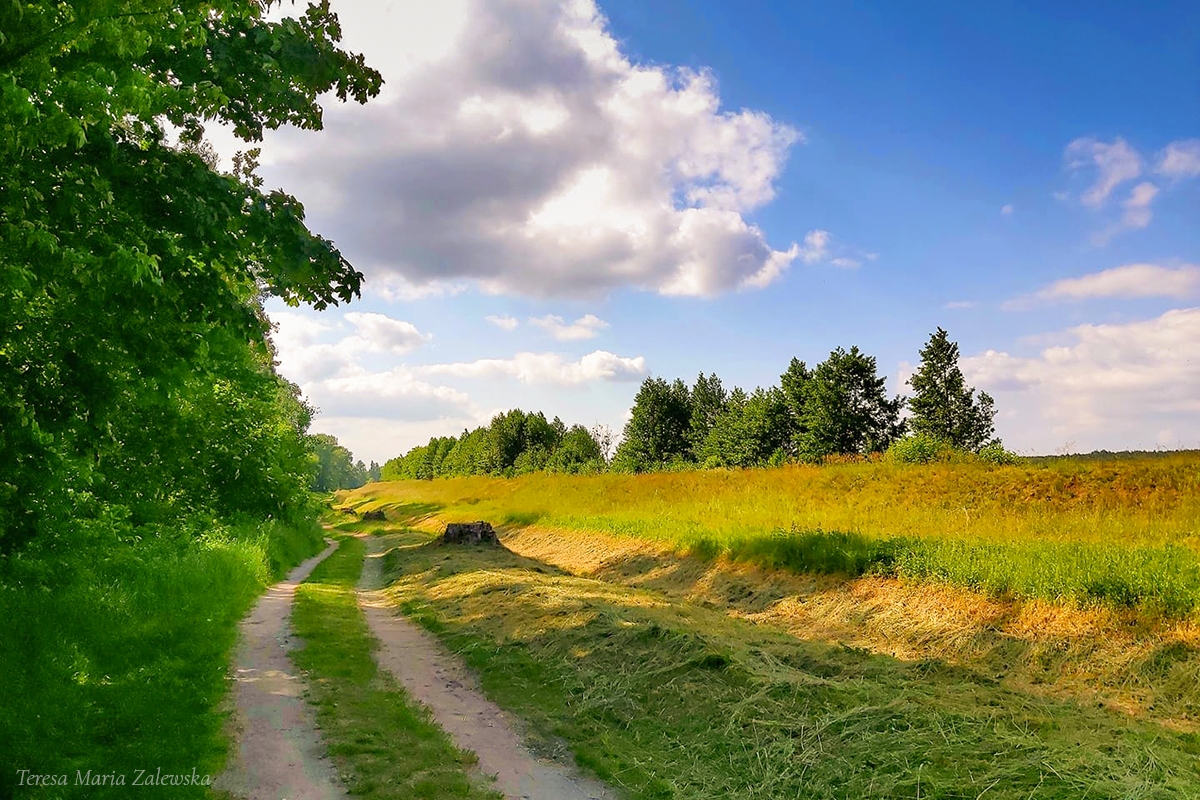 Rozw&oacute;j DCCXIX