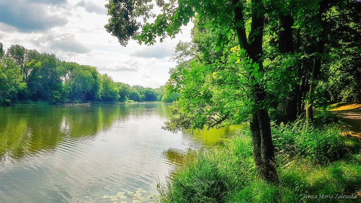 Rozw&oacute;j CMLXIV