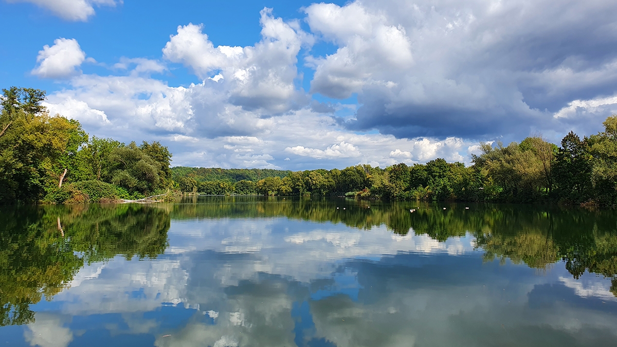 Rozw&oacute;j MCCXCI