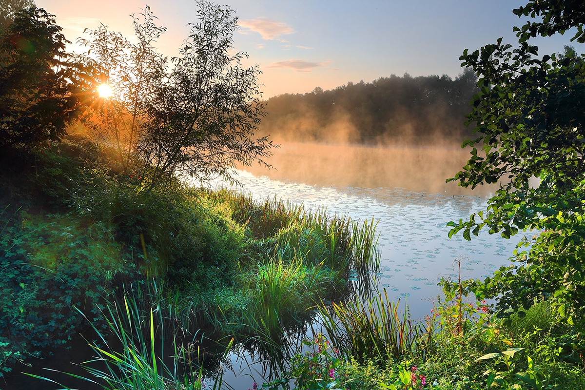 Rozw&oacute;j DCCLXIII